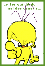 le canari