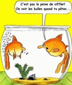 poisson