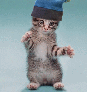 danser