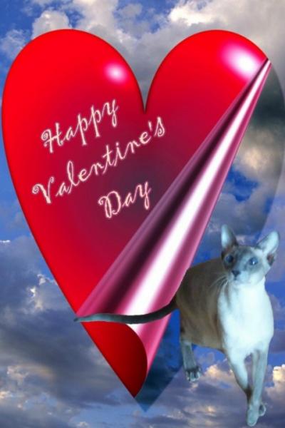 bonne saint-valentin!!!!!!!!!!