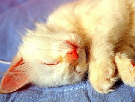 Une belle preuve d'amour...