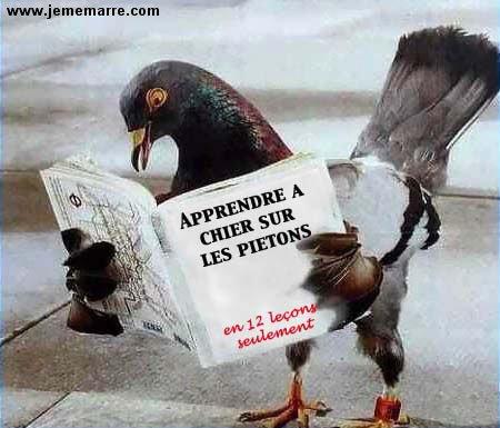 apprendre...