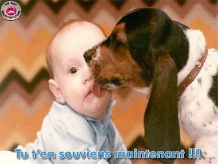 bébé