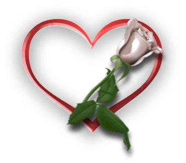 amour