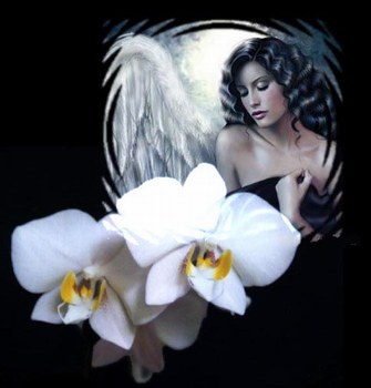 L'homme...La femme...