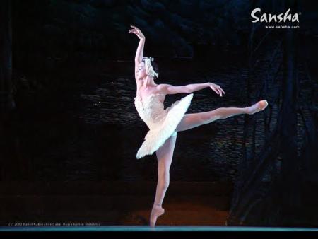 danser